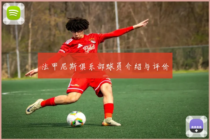 法甲尼斯俱乐部球员介绍与评价