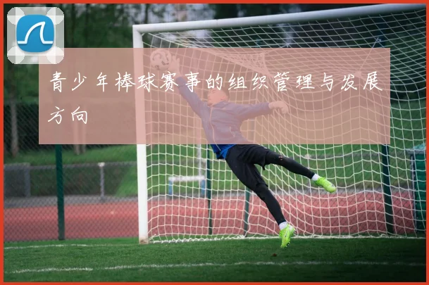 青少年棒球赛事的组织管理与发展方向