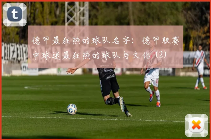 德甲最狂热的球队名字：德甲联赛中球迷最狂热的球队与文化 (2)