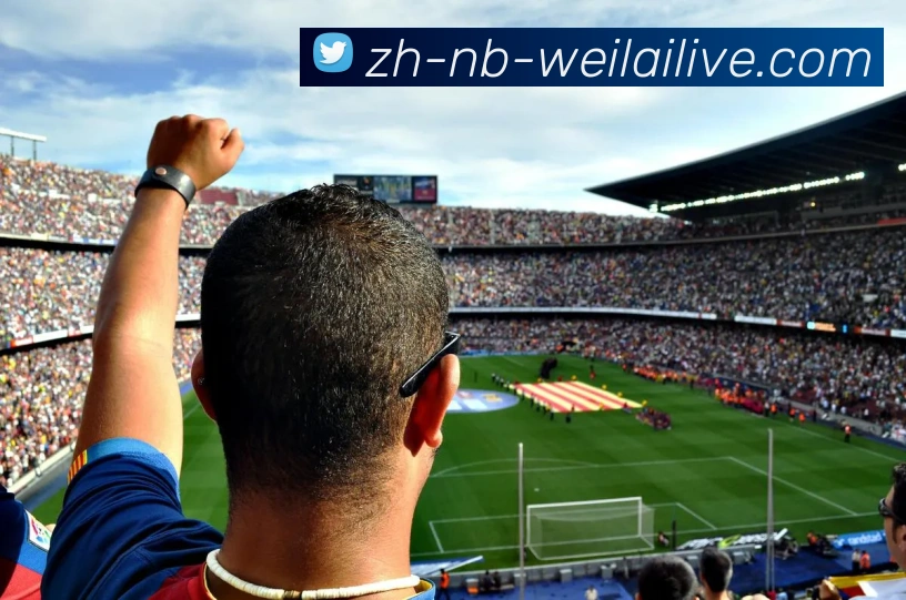 多媒体互动体验